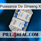 Ginseng Power X kamagra1